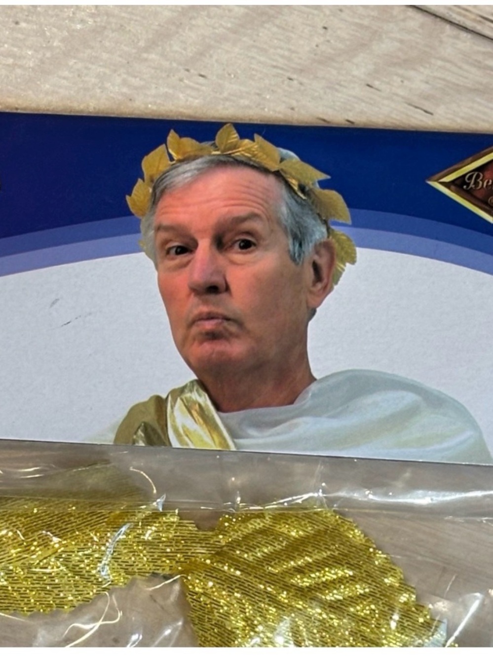 Costume Theatrical Roman Laurel Wreath Gold Leaf Headband Cuffs Lion Medallion